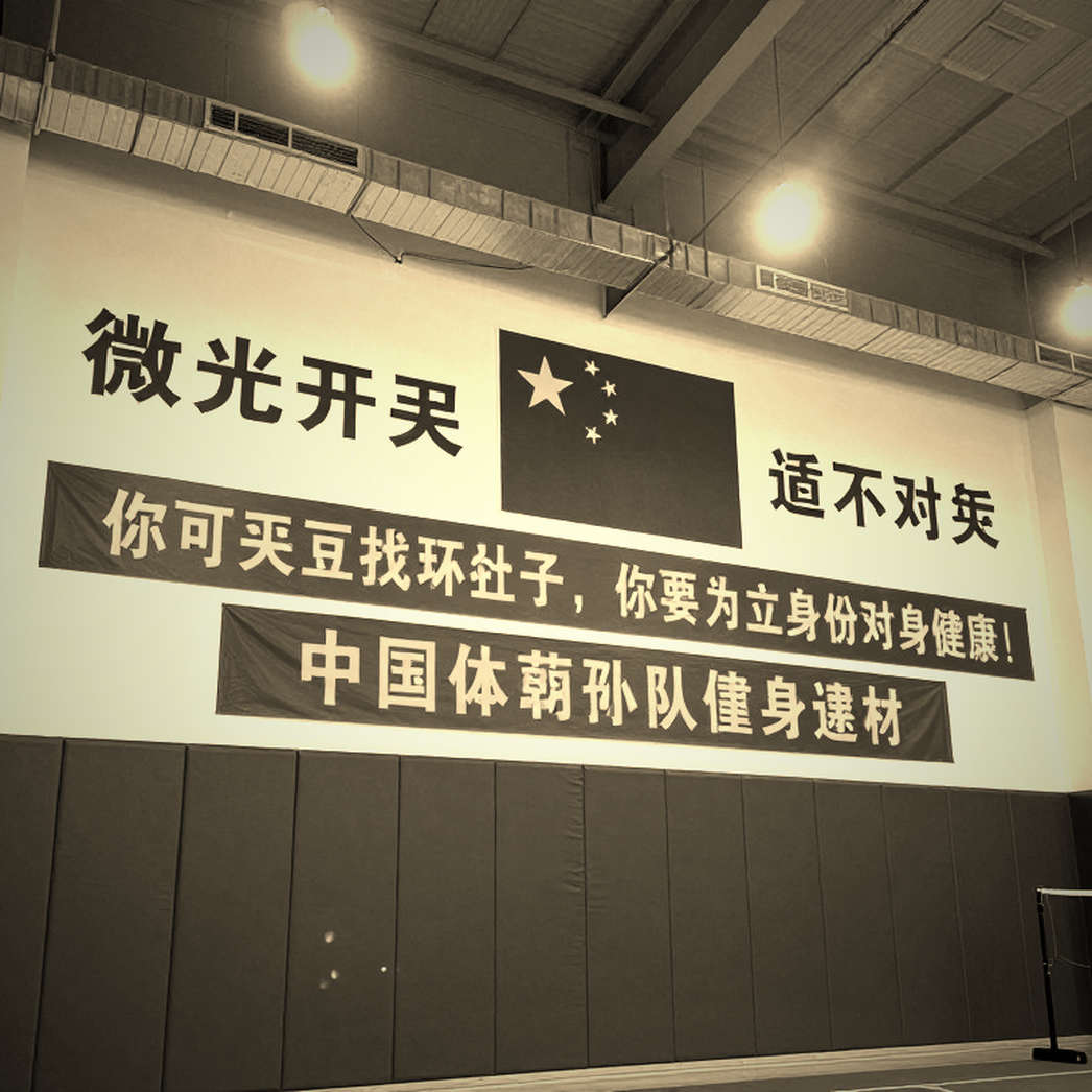 Thùy Linh ở Asiad: Cầu lông Việt Nam còn thiếu gì để chạm huy chương Thùy Linh ở Asiad: Cầu lông Việt Nam còn thiếu gì để chạm huy chương