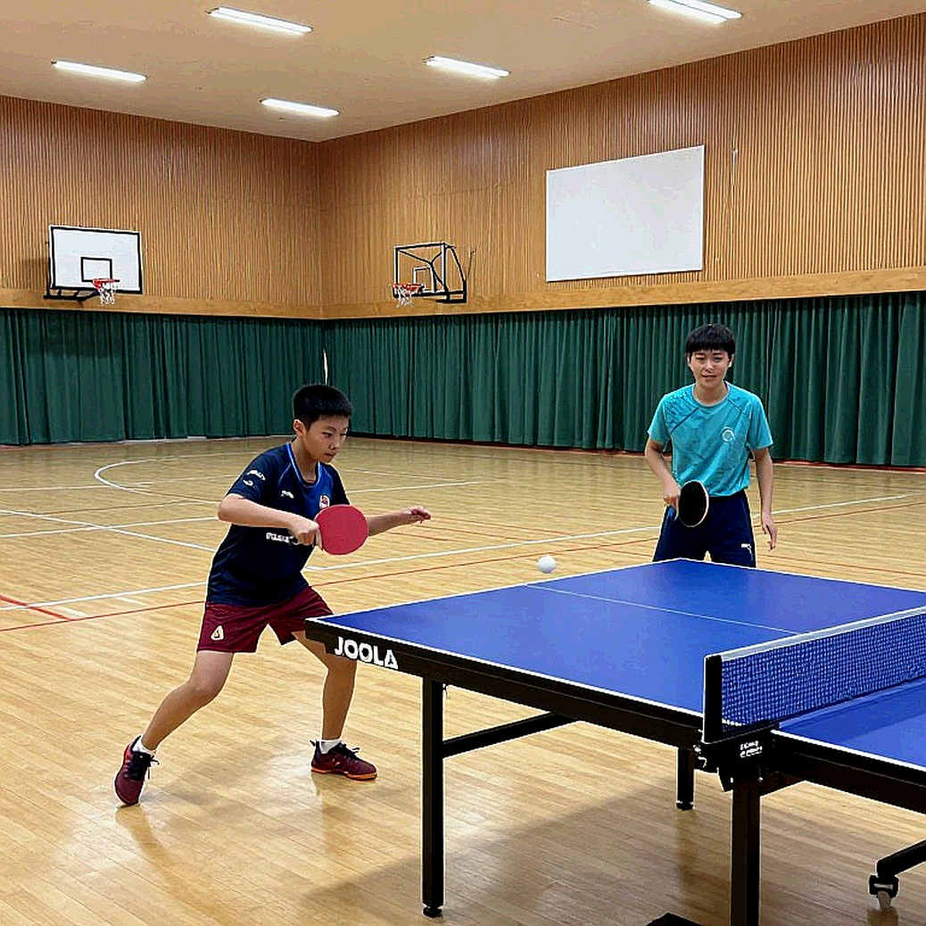 ETTU và Dyn: Bản Đồ Bản Quyền Bóng Bàn Châu Âu 2026-2028 Và Những Cấu Trúc Không Nằm Trên Bảng Điểm