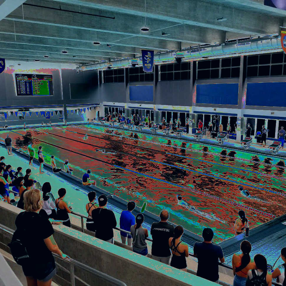 World Aquatics số hóa trọng tài bơi nghệ thuật: 160 người, một chiếc tablet và cuộc chiến chống chủ quan