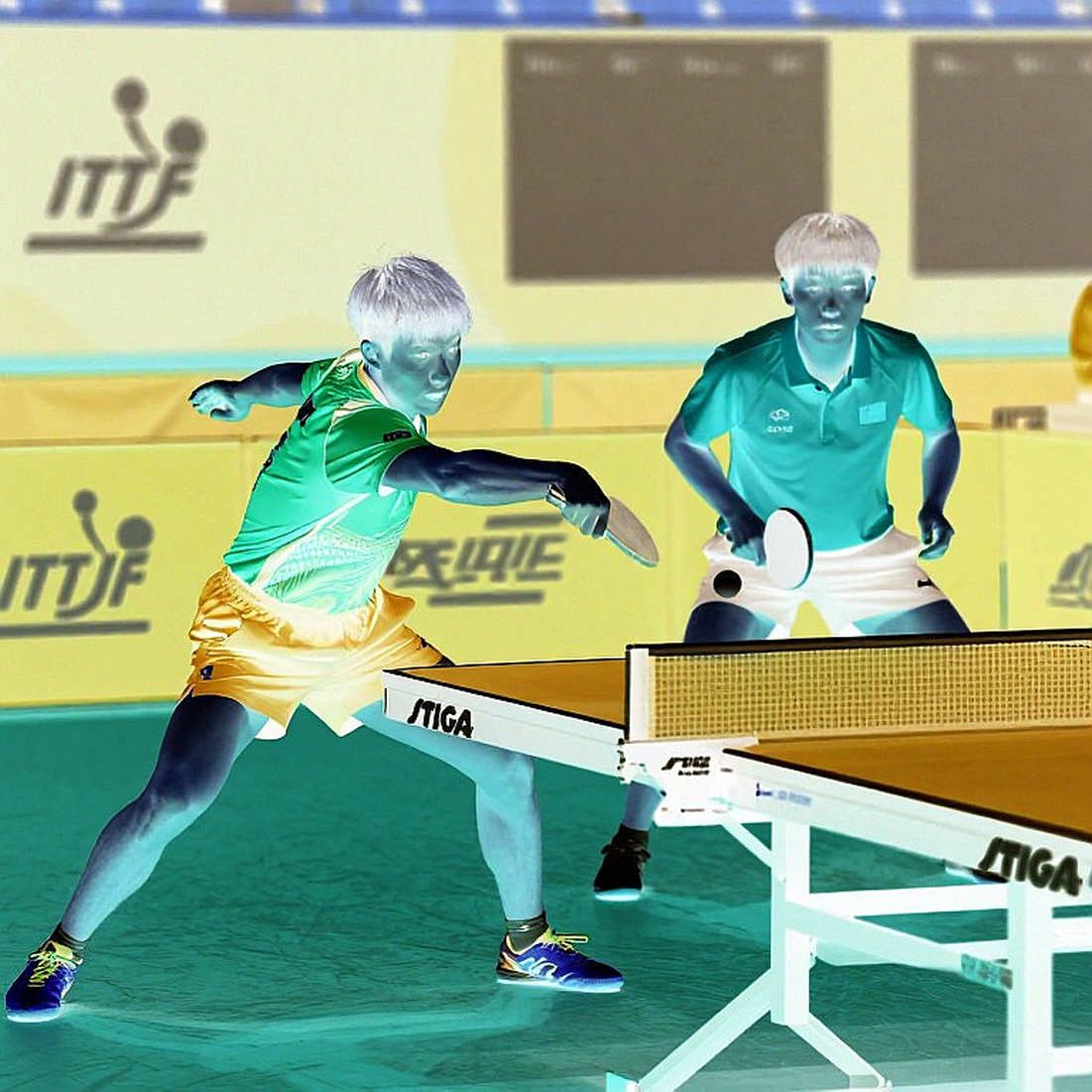 Anna Hursey và Tom Jarvis đối mặt hạt giống Nhật Bản tại WTT Champions Macao 2026 Anna Hursey và Tom Jarvis đối mặt hạt giống Nhật Bản tại WTT Champions Macao 2026