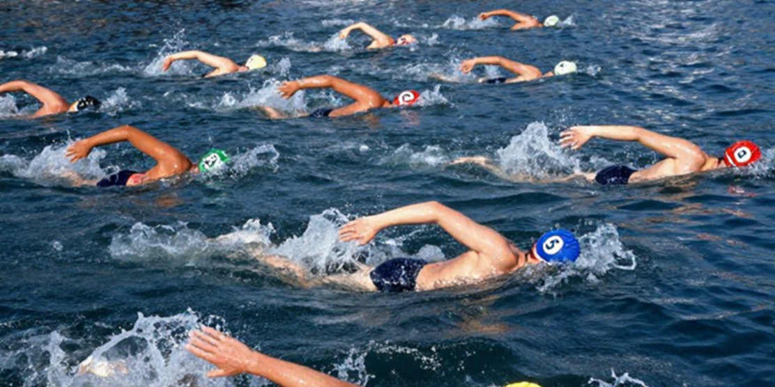 Lằn ranh giới hạn trên làn bơi: NCAA và đề xuất trần 20% vận động viên quốc tế